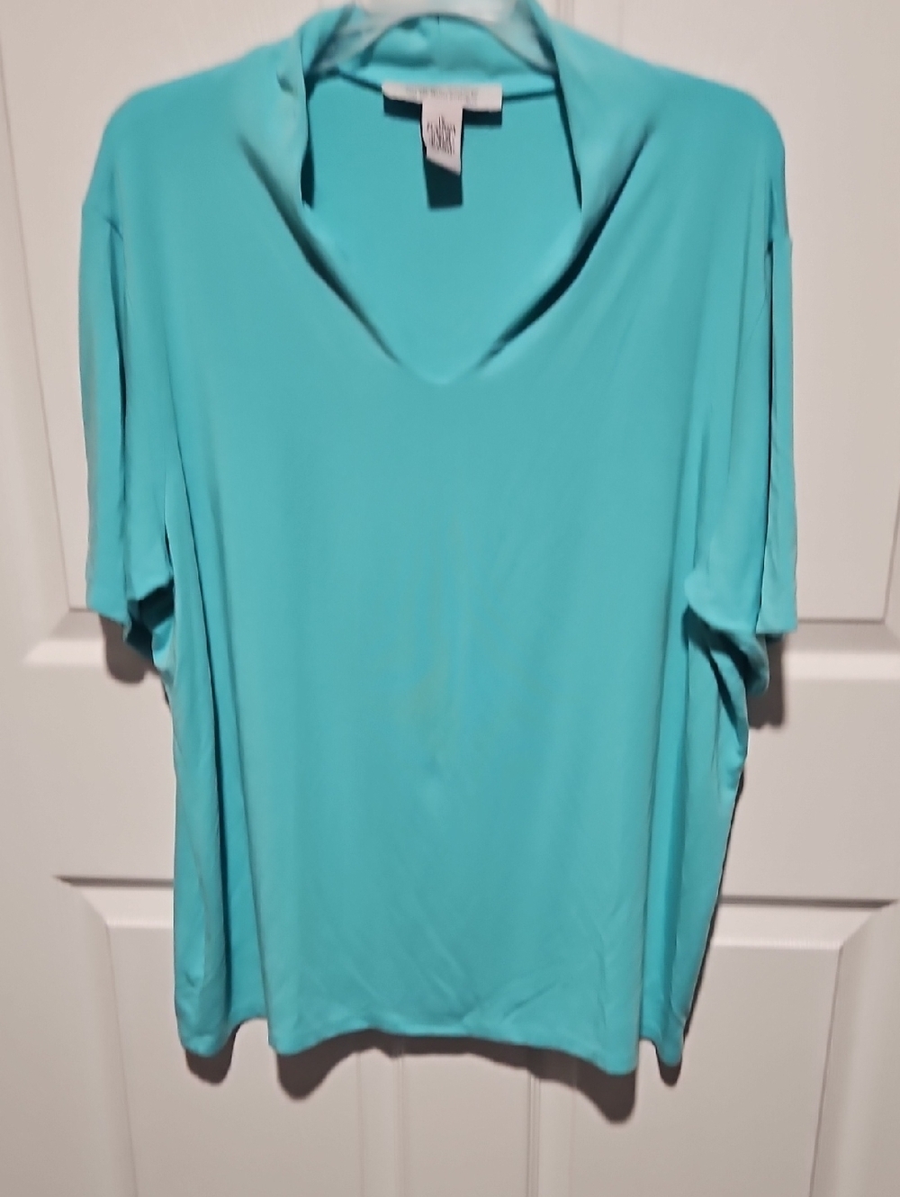 Relaxed V-Neck Short Sleeve Tee in Turquoise by